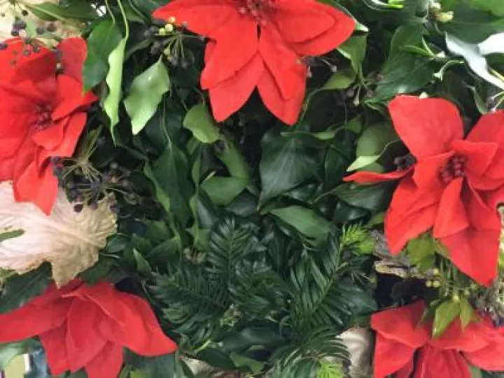 Flower Club May 2019 Image3 (6)