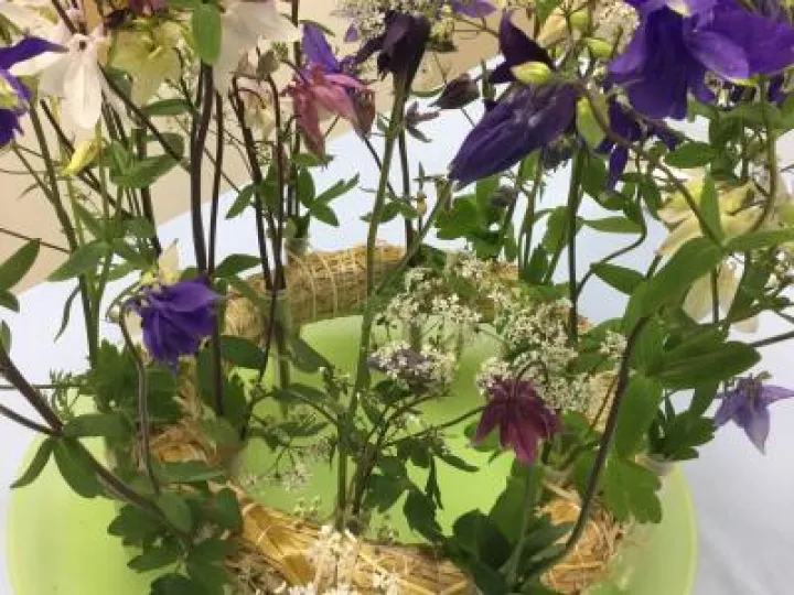 Flower Club May 2019 Image2 (7)