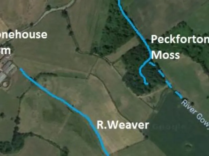 Sources Of Gowy And Weaver 2