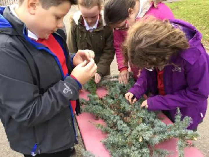 Image: 011BCAB9-937B-4F63-8C2E-90B8B6885421