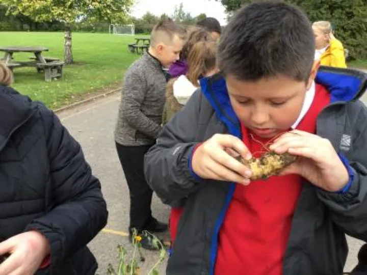 Image: 43C1D42A-F9B7-42F7-92C9-F720952CAF35