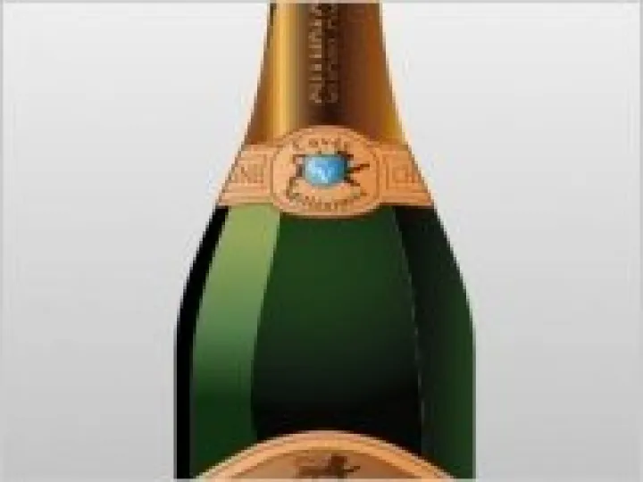 bottle_of_champagne_clip_art_11046