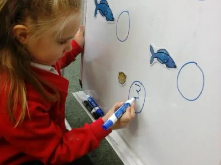 Image: 6abaf608e2de4639ae80a7a2bfdc0566-2019-11-13-09-54-21_photo