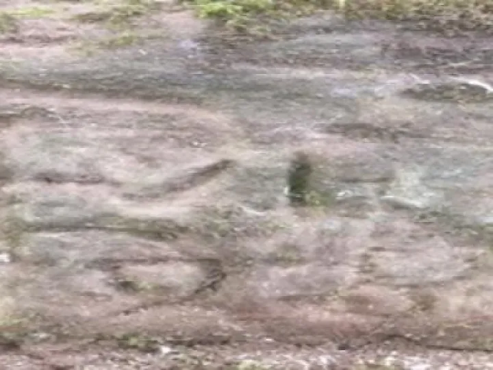 Peckforton Mill Two (1)