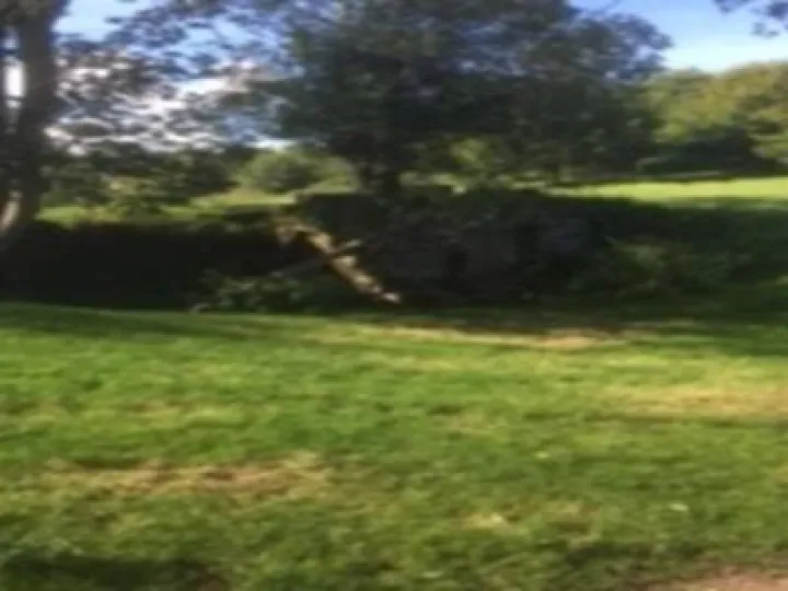 Peckforton Mill Two (2)