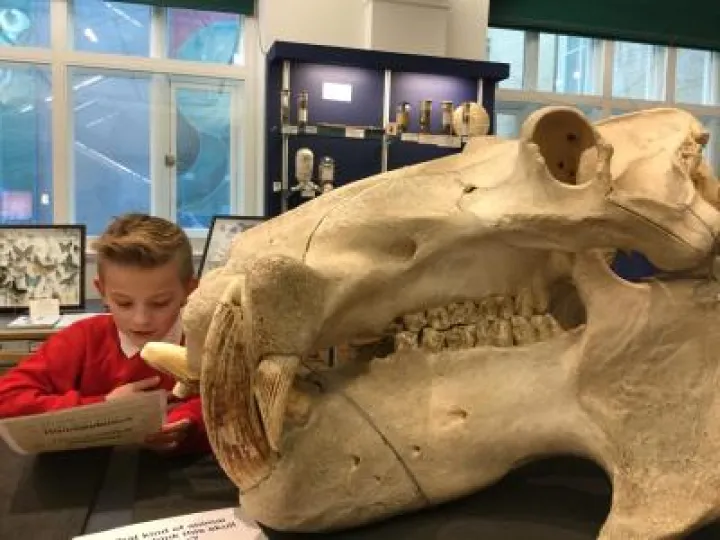 A6026B67-5728-4543-90DF-932A0A7A88F7