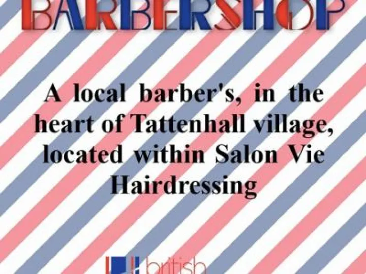 SalonVie Barber Shop Poster 2020