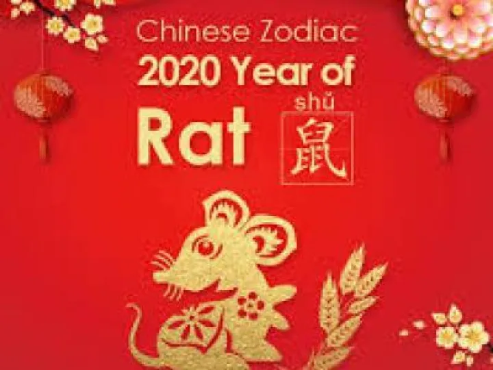 Year of the Rat