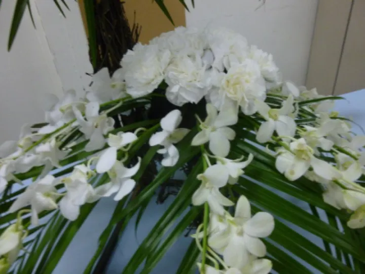 Flower Club March 2020 (1) thumbnail