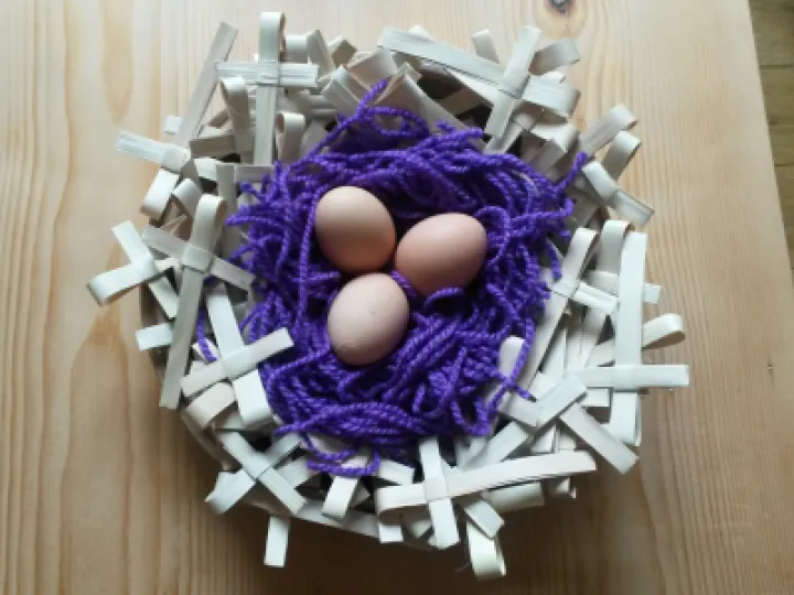 Image: 20200402_110324MReed