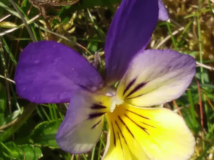 Image: 20190515_131522