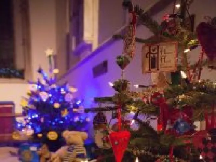 Christmas Tree Festival 07