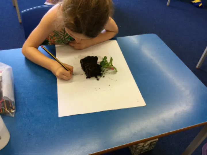 Image: 8785020D-C8AE-4A84-8A9C-8BCC458DFBC9