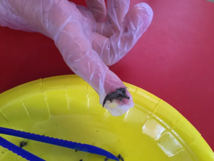 Image: 0ECC2E9A-1CD4-460F-9365-FC695831BED1