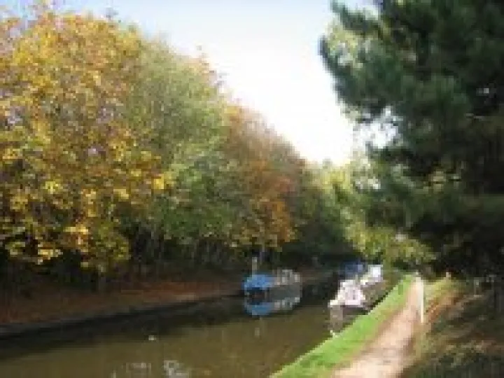 Canal in Autumn