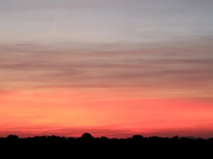 Sunset over Moorsfield Avenue