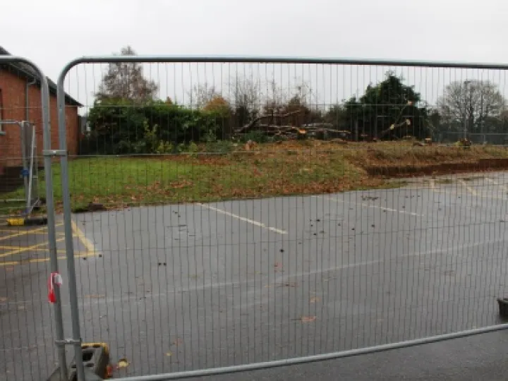 12/11/2016 Tree Removal