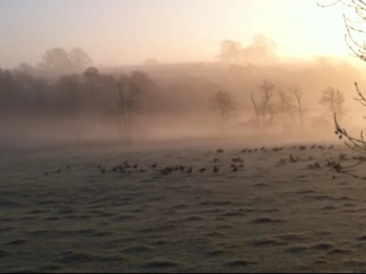 Frosty Scenes around Audlem