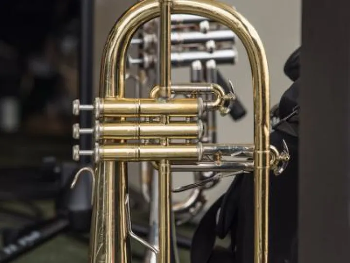 Trumpet Voluntary