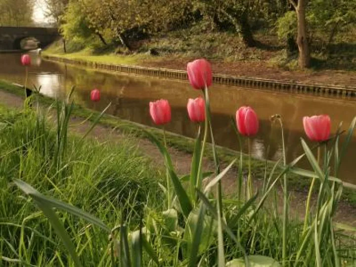 Canal Scenes