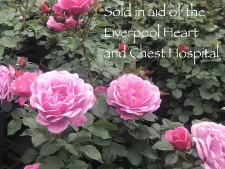 Heartfelt Thanks7 Labelled With Charity (2)