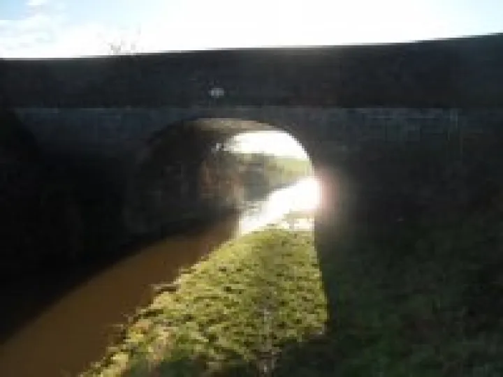 2013 Boxing Day walk (6)