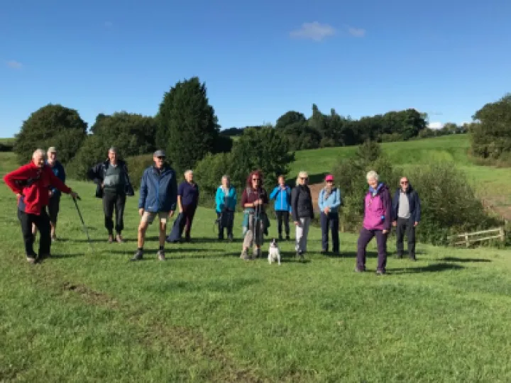 ARS Resumes Walks