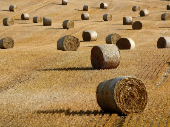 colin-watts-eTC2fQMgSC0-unsplash