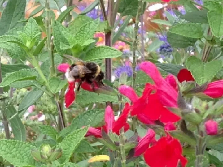 F8841017-9E46-4092-BC36-4BE3E73F38C6_1_201_a