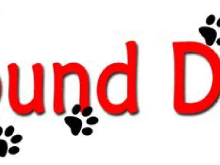 dogfound1
