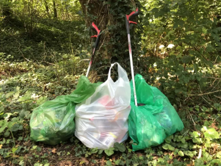 litter woodland