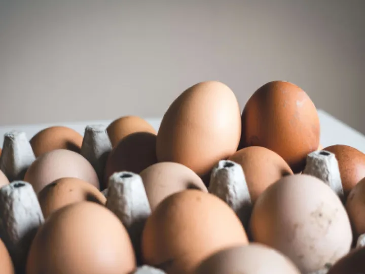 eggs, egg box