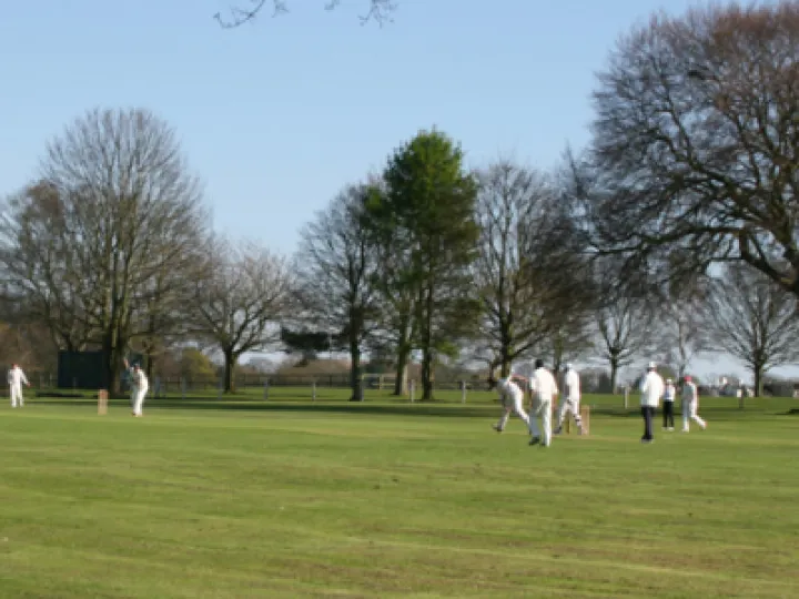 Cricket-Lymm-
