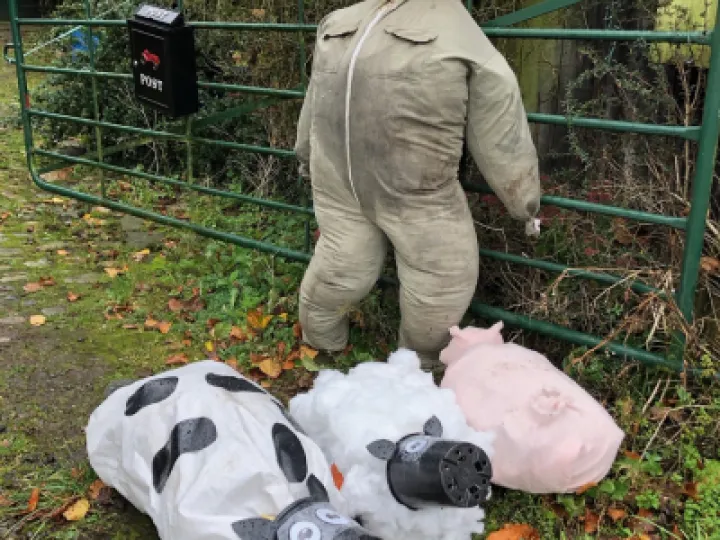 ARSSheep