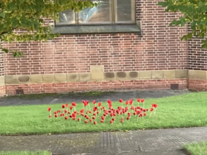 Kexborough Poppy Display