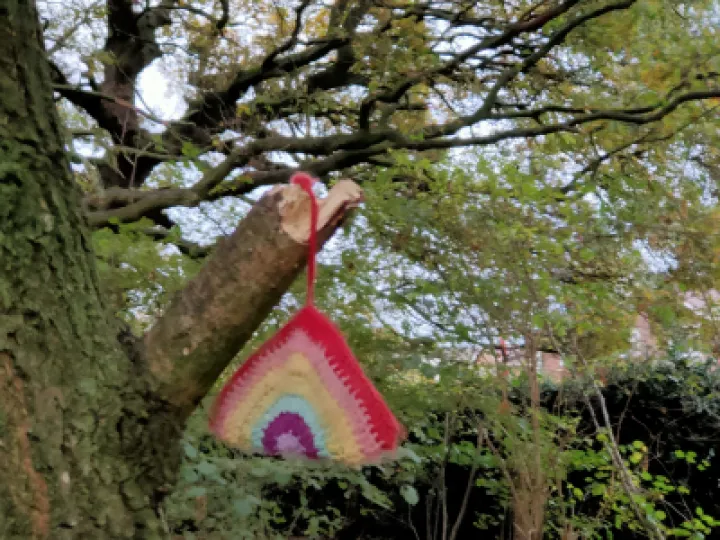 TCW Lost item 11th Nov 2020 IMG20201111155835