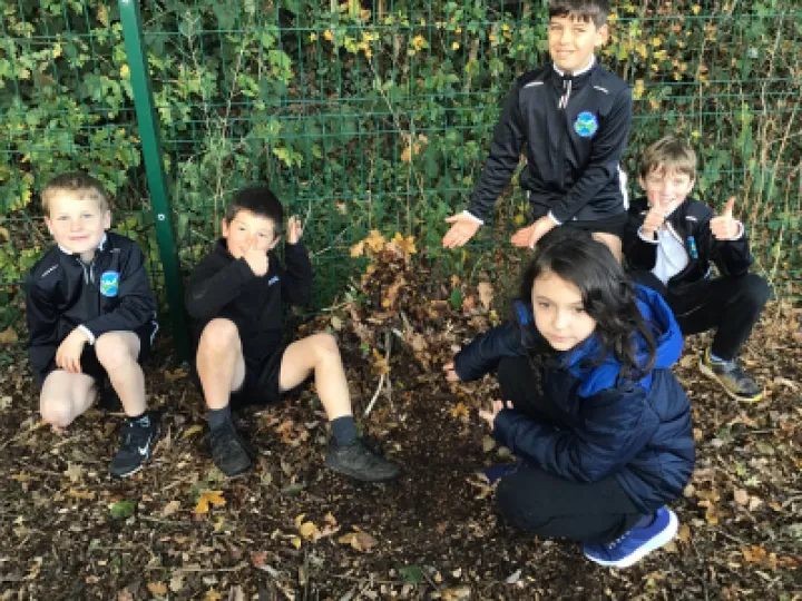 class 3 den a