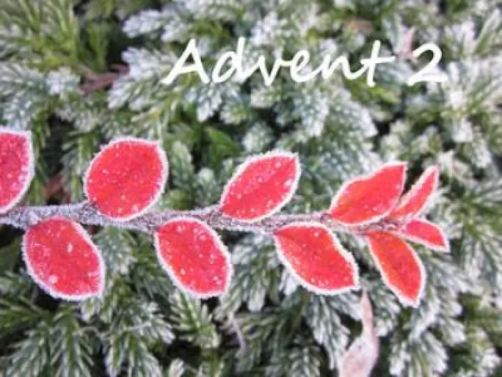 advent