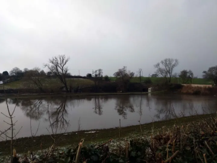 Flooded river weaver mirror image