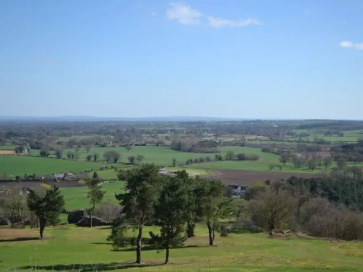 View from Ridge
