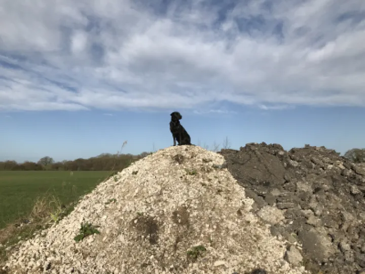 Madai king of the castle