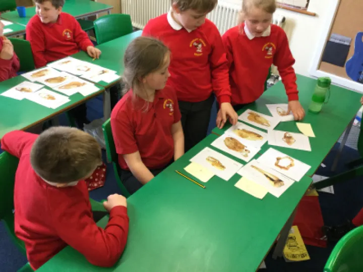 F7D0BFF9-C1DF-4CCE-891B-075A7AC9E74B