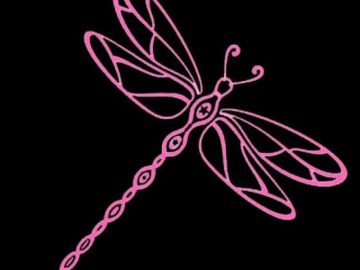 Jaqueline Wilson Dragonfly