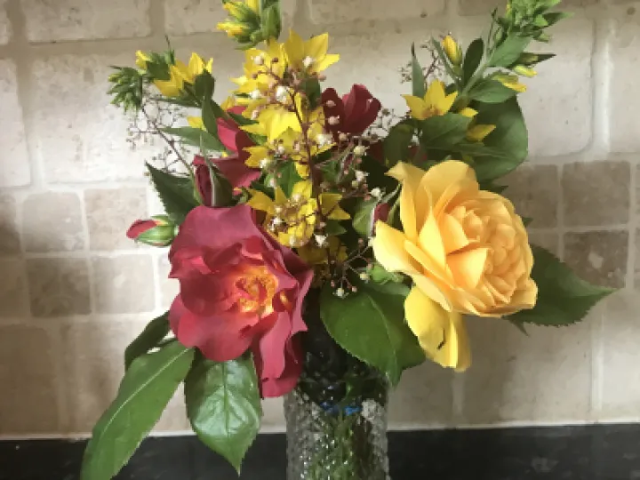 Posy Ab Fab and Celebration time 2