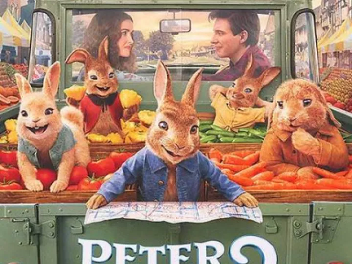 peterrabbit2-adv-B-ar_480x-progressive