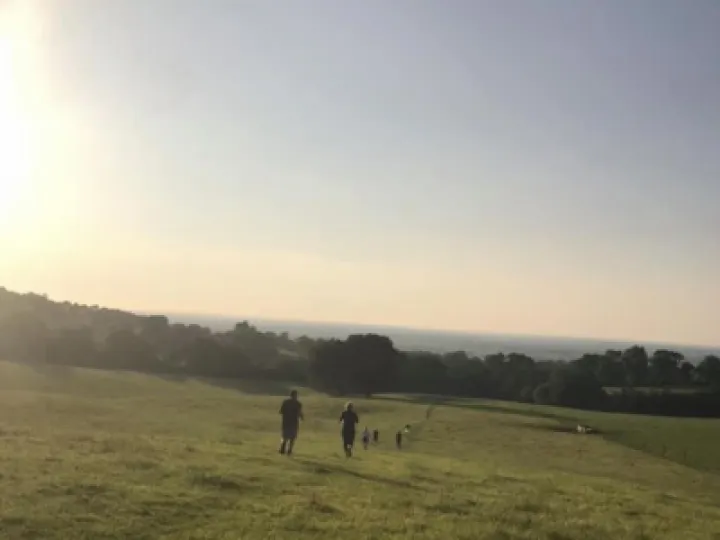 Image: 8FA5D1B3-1395-4EBB-B4A8-1C82D5F6DCEB