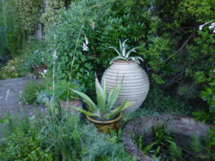 AHFC Ganden July 2021 P1040033[316713]