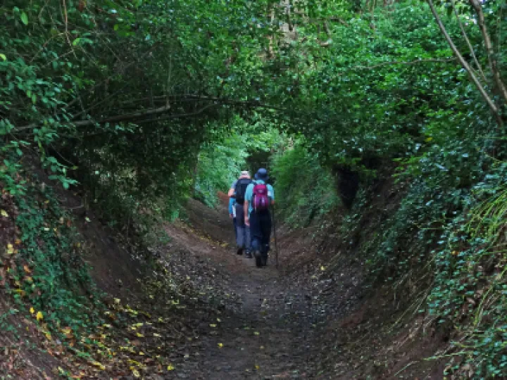 #Tunnel Vision_RRs00644