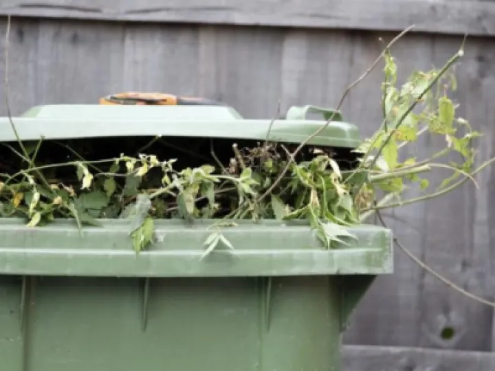 AFA0B685-752F-488C-A293-DAC93AE5D9CD