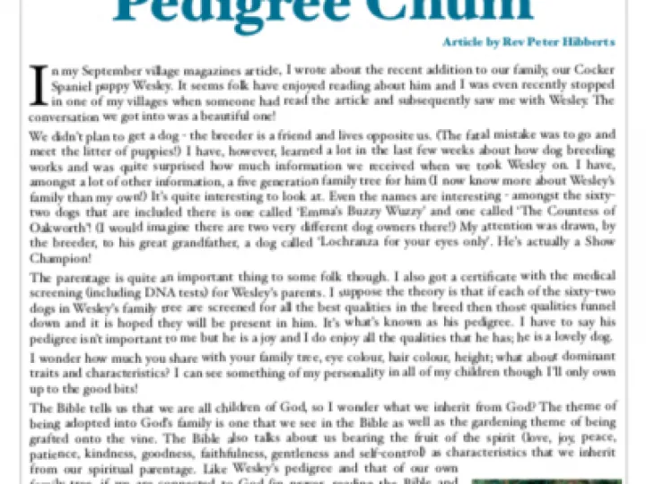 Circuit TOGETHER 50 22-9-21 – Preview